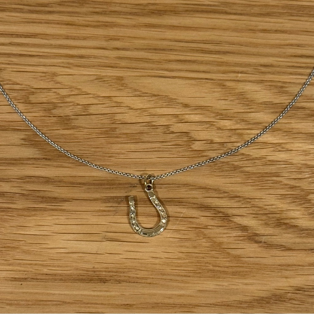 Stella Dot Silver Gold Rhinestone Horseshoe Pendant Necklace 15$